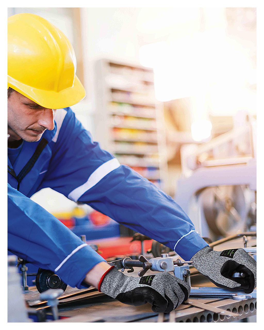 gantia-showa-234-12-zeugi-paketo-2el8bhlz