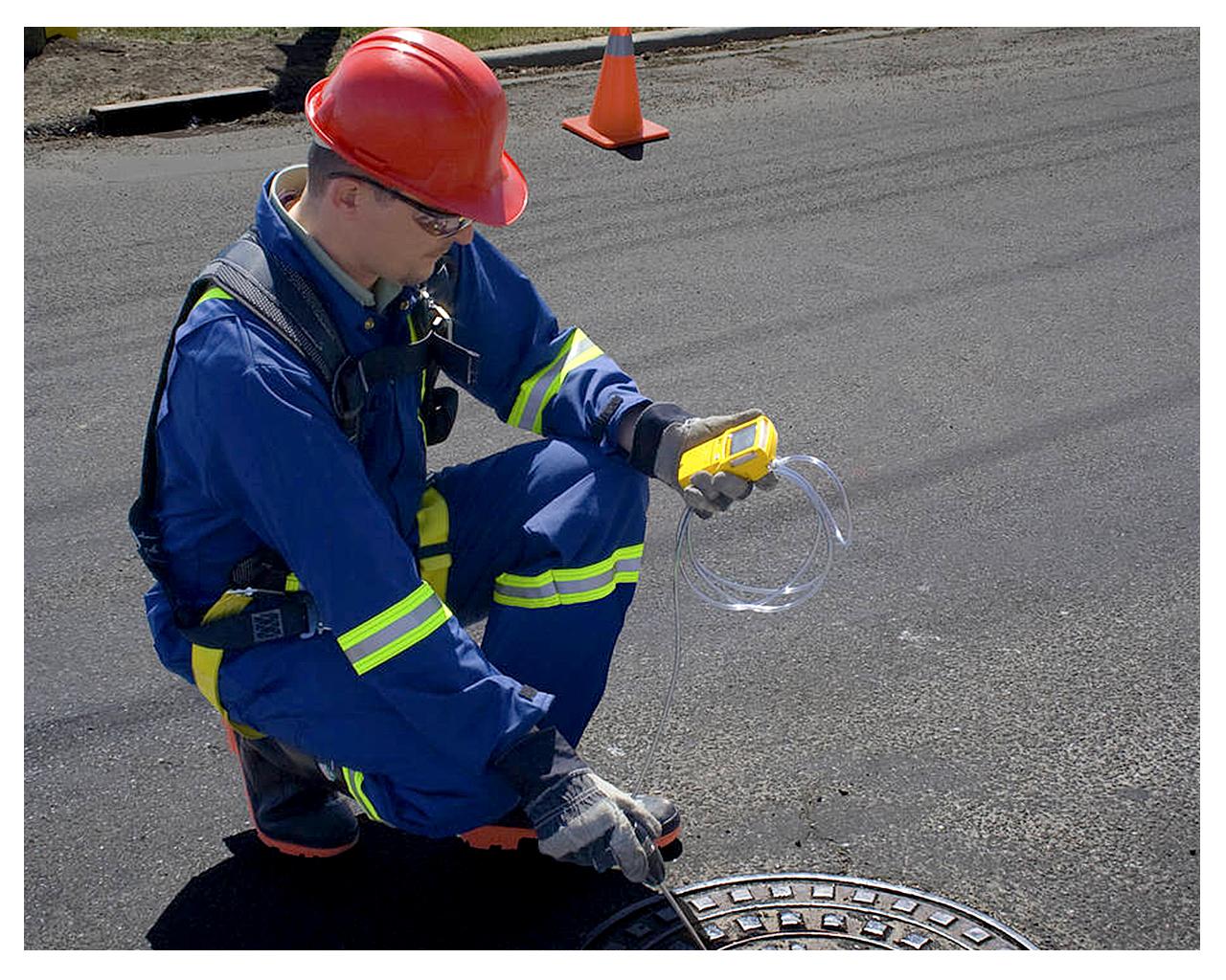 anichneutis-bw-max-xt-ii-o2-lel-h2s-co-yanlsvtj