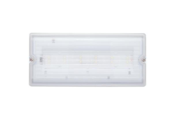 MG_7544-copy-600x400